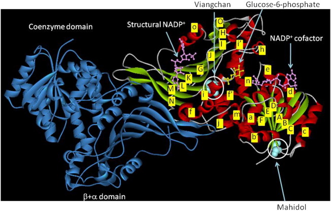 Fig. 8