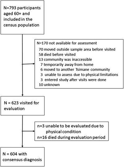 FIGURE 1