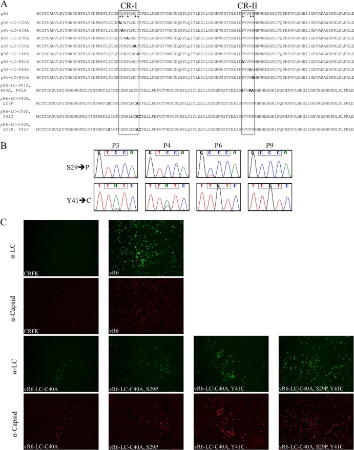 Fig 6