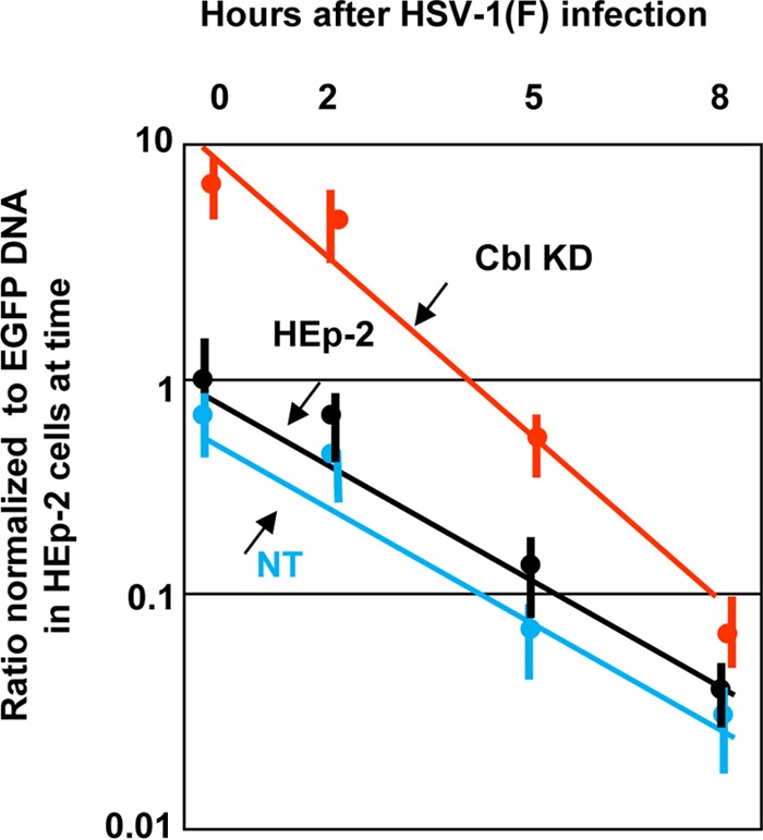 FIG 6