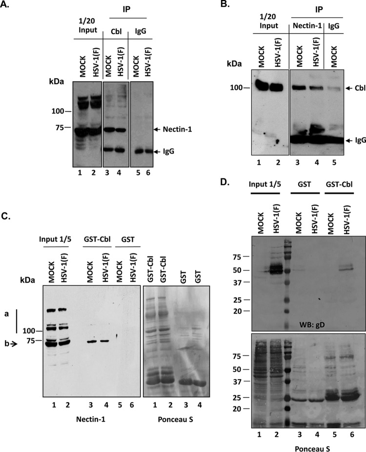 FIG 1