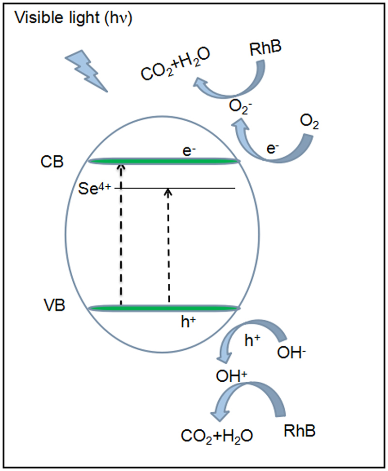 Figure 8