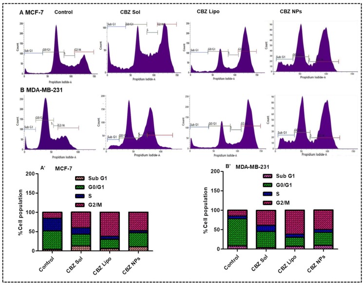 Figure 6