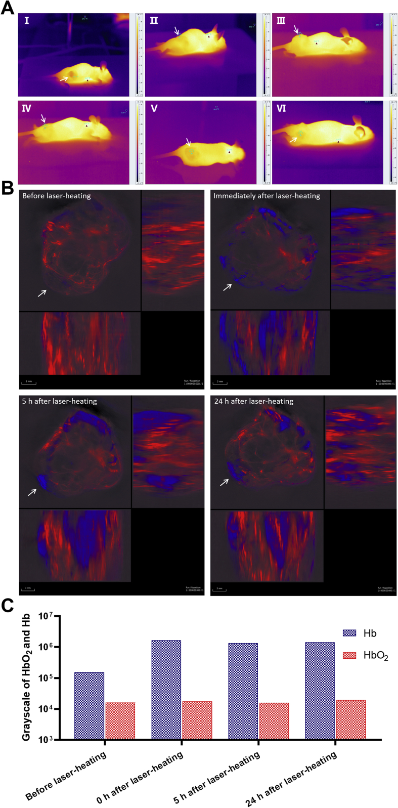 Figure 4