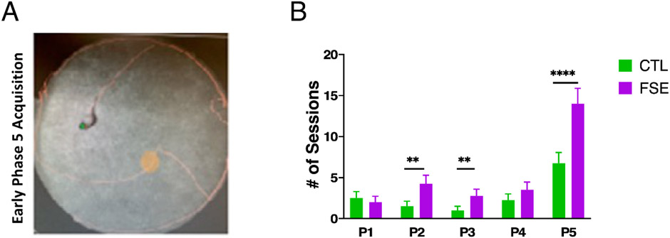 Figure 5: