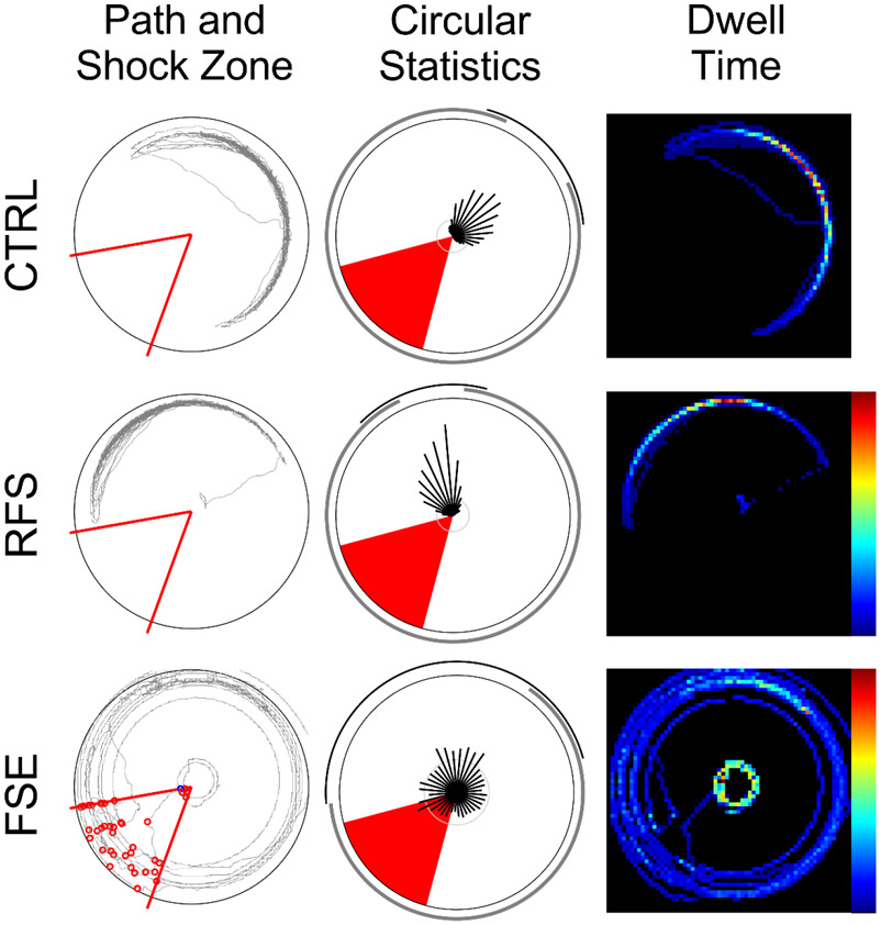 Figure 2: