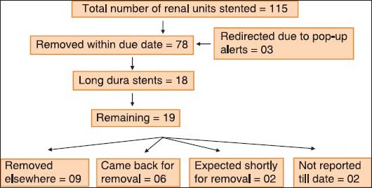 Flow Chart 1