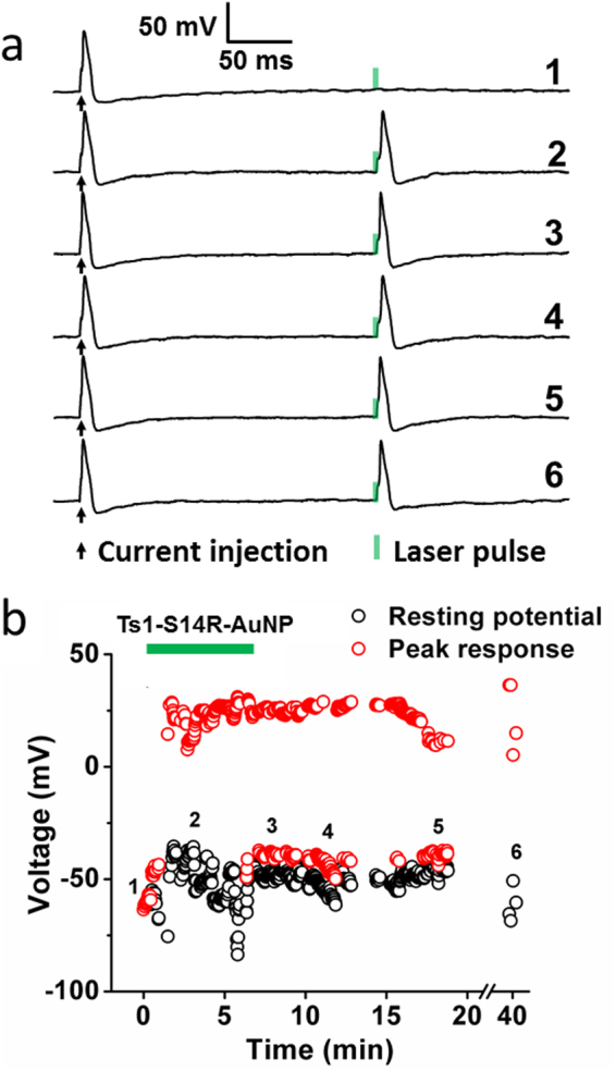 Figure 7