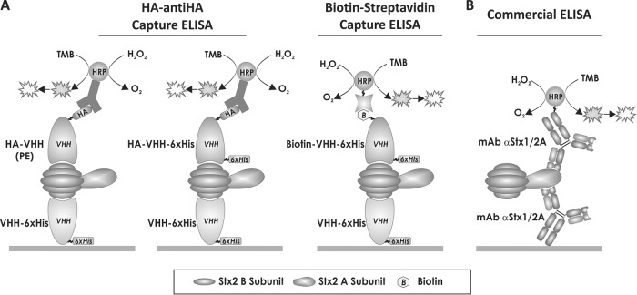 FIG 1