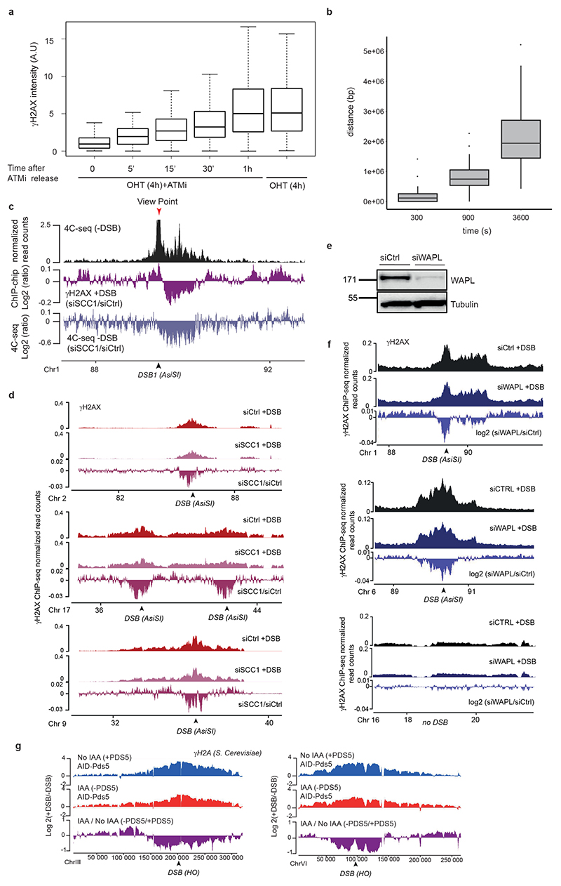 Extended Data Figure 5