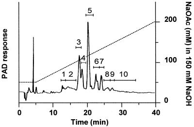 FIG. 6