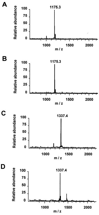 FIG. 7