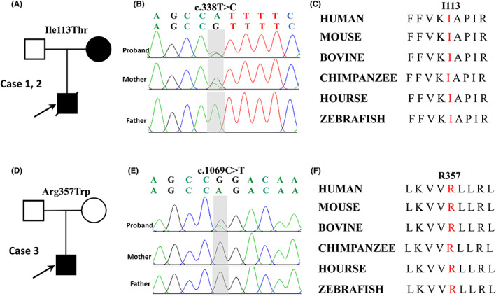 FIGURE 1