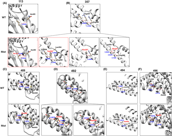 FIGURE 4