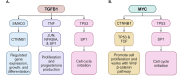 Fig 13