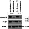 Fig 12