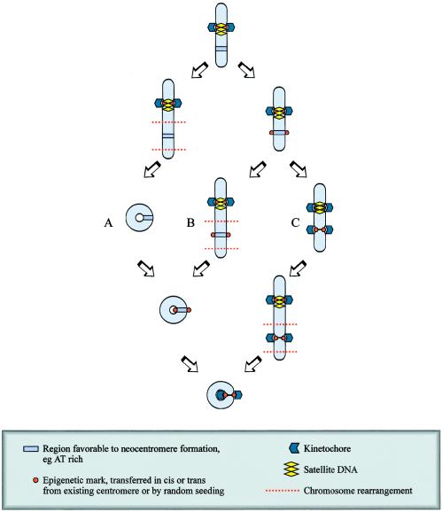 Figure  7