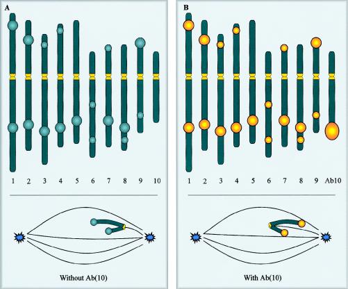 Figure  6