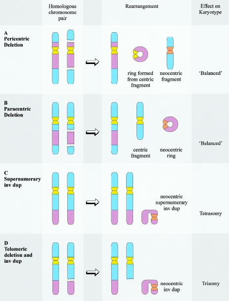 Figure  3