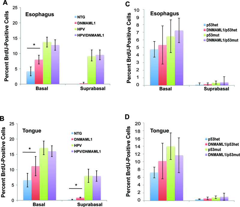 Figure 3: