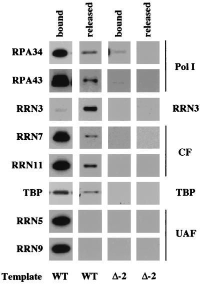 FIG. 5