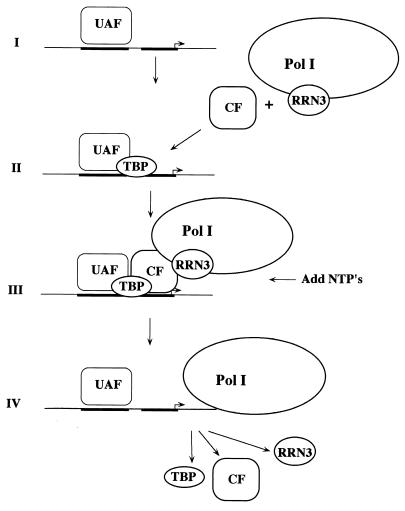 FIG. 7