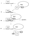 FIG. 7