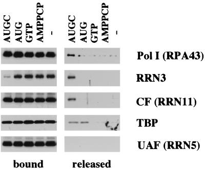 FIG. 6