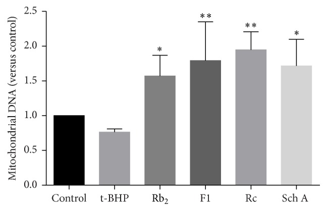 Figure 7