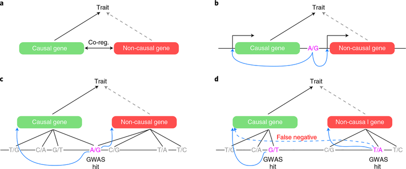 Fig. 5 |