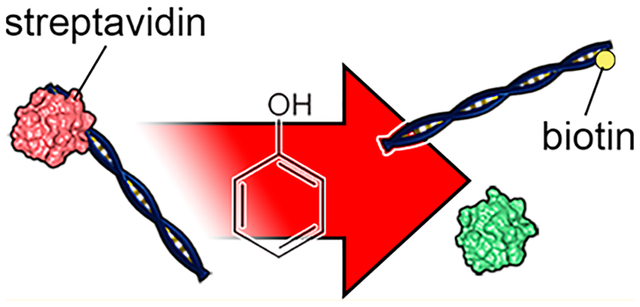 graphic file with name nihms-1058659-f0001.jpg