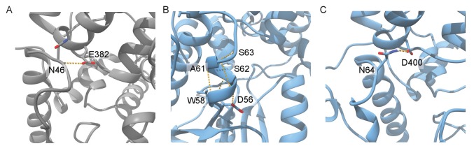 Figure 3—figure supplement 3.