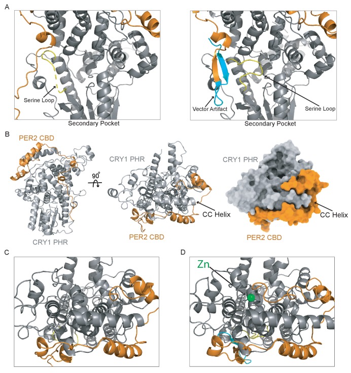 Figure 4—figure supplement 1.