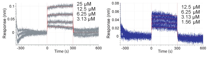 Figure 4—figure supplement 3.