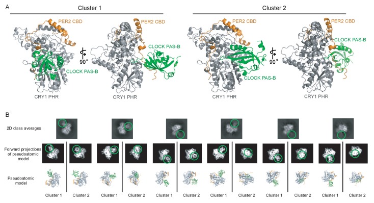 Figure 4—figure supplement 2.