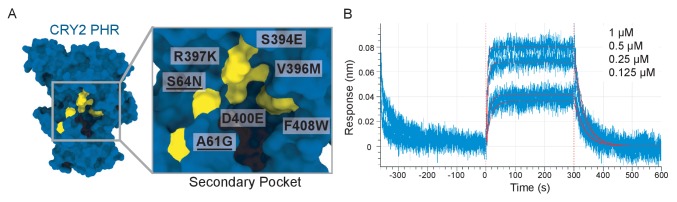 Figure 3—figure supplement 2.