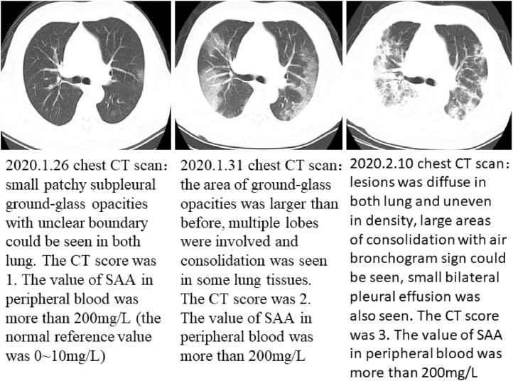 Fig. 7