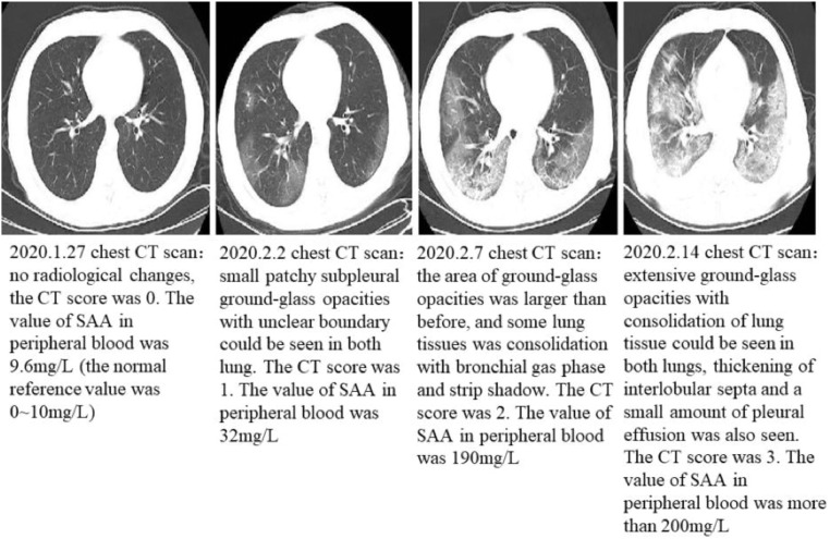 Fig. 6