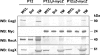 FIG. 6.