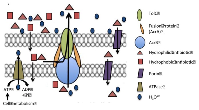 FIGURE 1