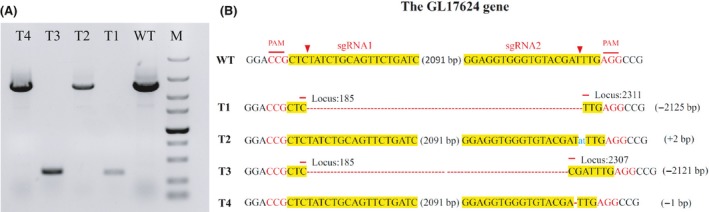 Figure 5