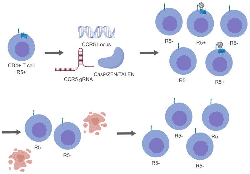 FIGURE 3