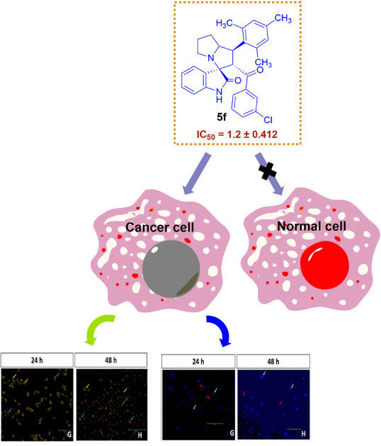 graphic file with name d5ra01632k-ga.jpg