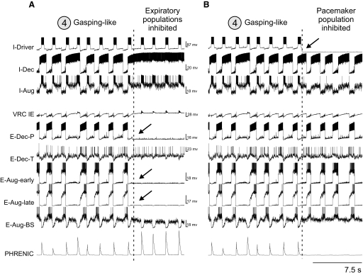 FIG. 9.