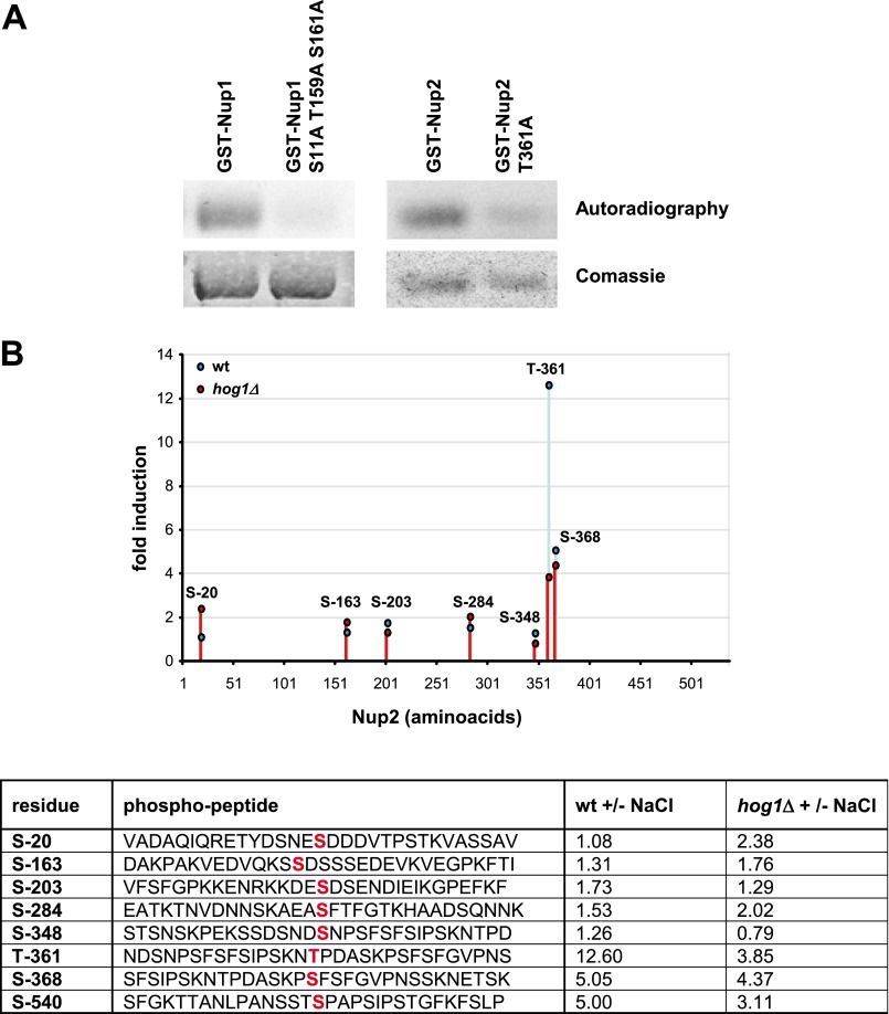 FIGURE 10.