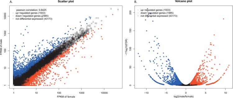 Fig 10