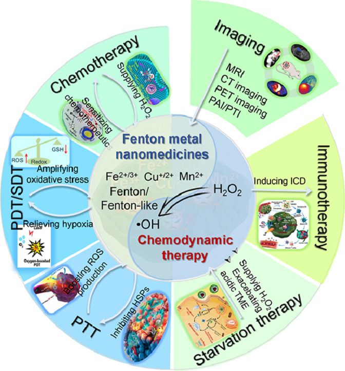 Image, graphical abstract