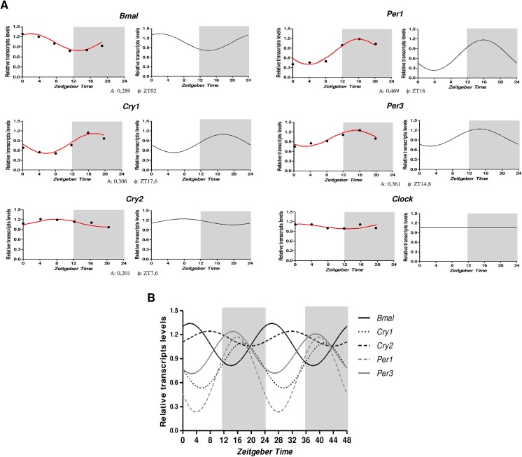 Fig 3