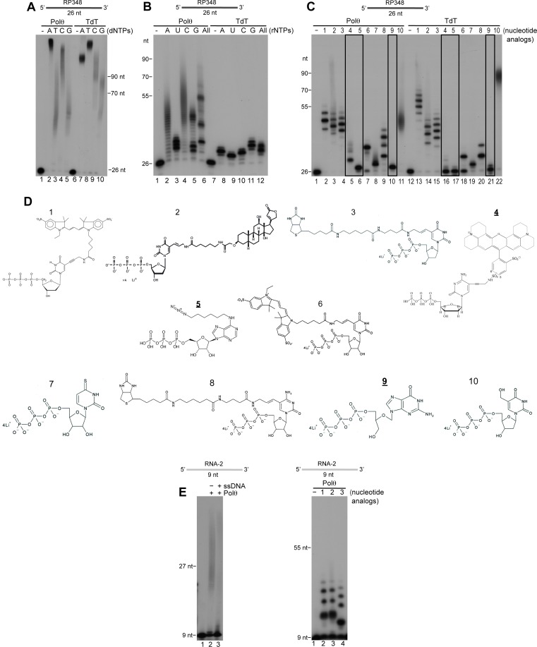 Figure 7.