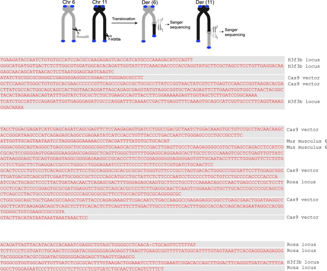 Figure 4—figure supplement 1.